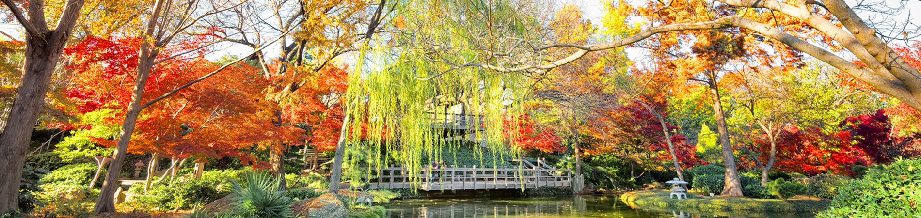 Japanese Gardens