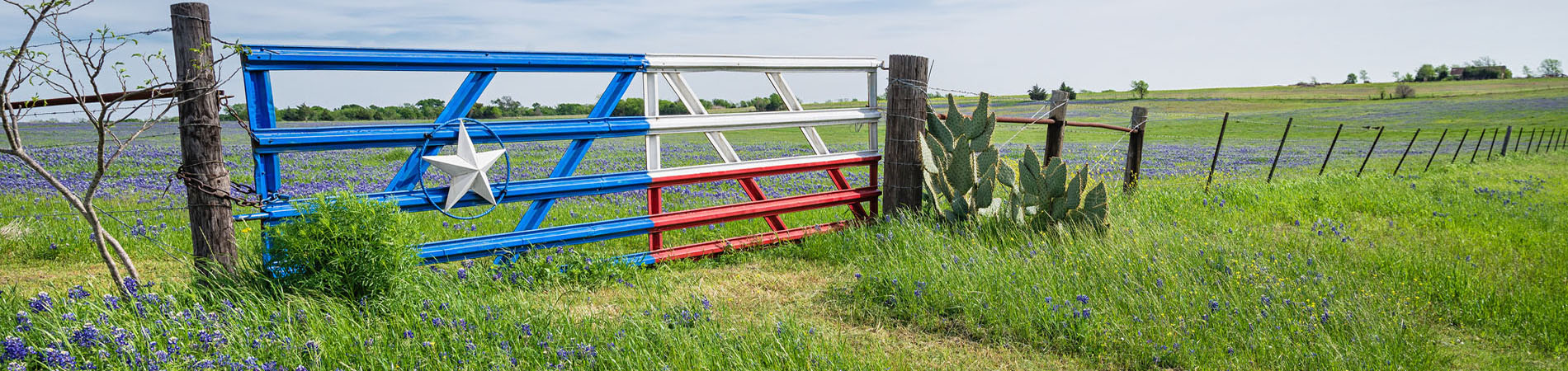 Lone Star Gate